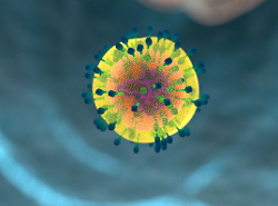 Роспотребнадзор обещает в этом году «гонконгский» штамм гриппа